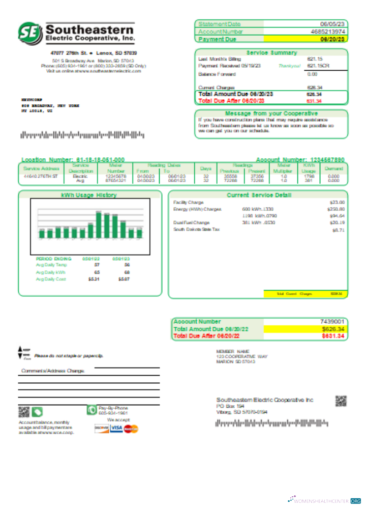 Download Southeastern Electric Cooperative, Inc. utility business bill, SCR Photoshop template
